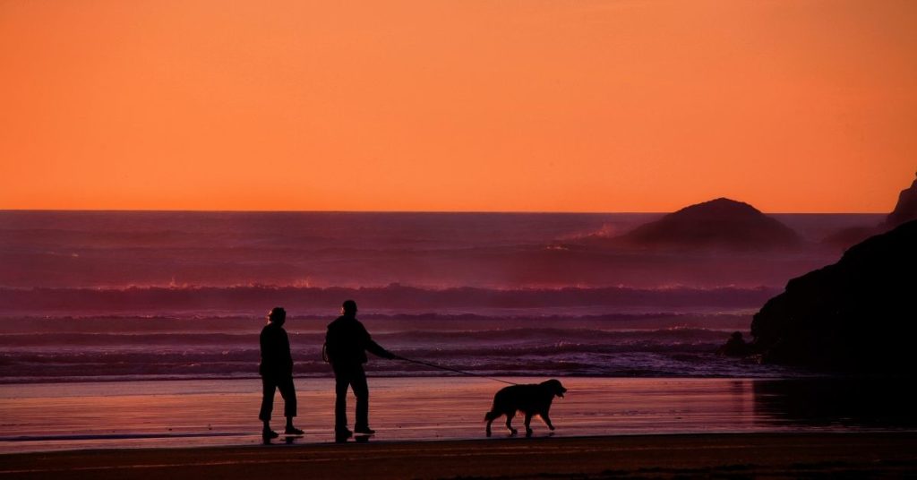 The different phases of retirement