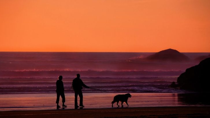 The different phases of retirement